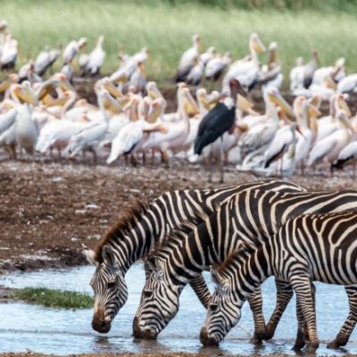 Lake Manyara