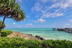 Cheap Things to Do in Zanzibar